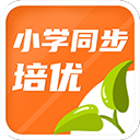 還不熟悉新援�！曼城球衣印錯賴因德斯的名字，多了一個字母I