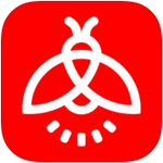 要麵子！洛杉磯主帥介紹孫興慜
：如果他說曾過掉我
，那不是真的